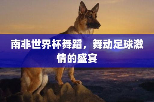 南非世界杯舞蹈，舞动足球激情的盛宴