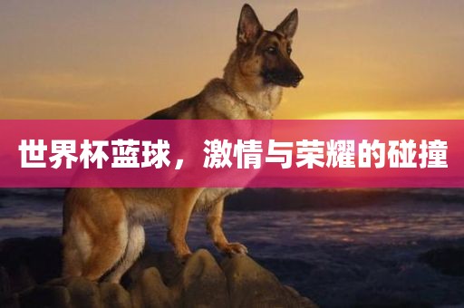 世界杯蓝球，激情与荣耀的碰撞