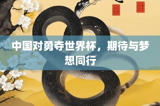 中国对勇夺世界杯，期待与梦想同行