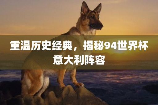 重温历史经典，揭秘94世界杯意大利阵容