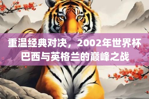 重温经典对决，2002年世界杯巴西与英格兰的巅峰之战漯河市盈旭机械设备有限公司