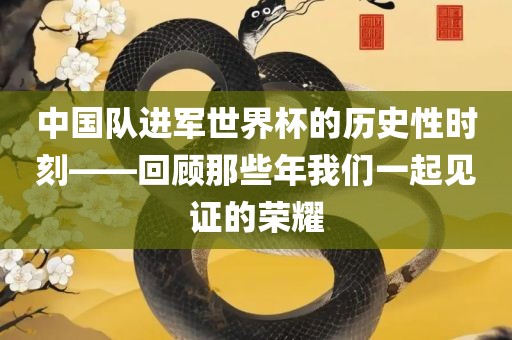 中国队进军世界杯的历史性时刻——回顾那些年我们一起见证的荣耀