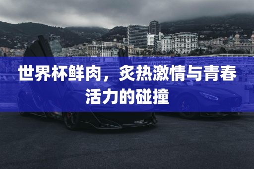 世界杯鲜肉，炙热激情与青春活力的碰撞漯河市盈旭机械设备有限公司