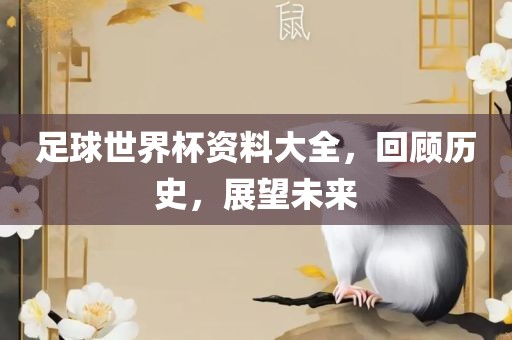 足球世界杯资料大全，回顾历史，展望未来漯河市盈旭机械设备有限公司