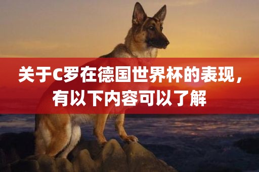 漯河市盈旭机械设备有限公司关于C罗在德国世界杯的表现，有以下内容可以了解