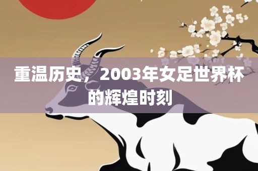 重温历史，2003年女足世界杯的辉煌时刻