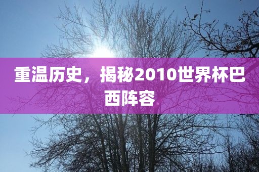 重温历史，揭秘2010世界杯巴西阵容