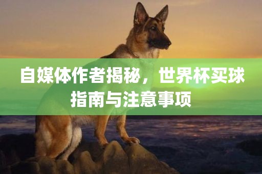 自媒体作者揭秘，世界杯买球指南与注意事项