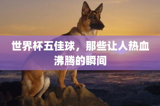 世界杯五佳球，那些让人热血沸腾的瞬间漯河市盈旭机械设备有限公司