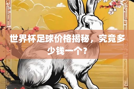 世界杯足球价格揭秘，究竟多少钱一个？
