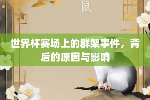 世界杯赛场上的群架事件，背后的原因与影响