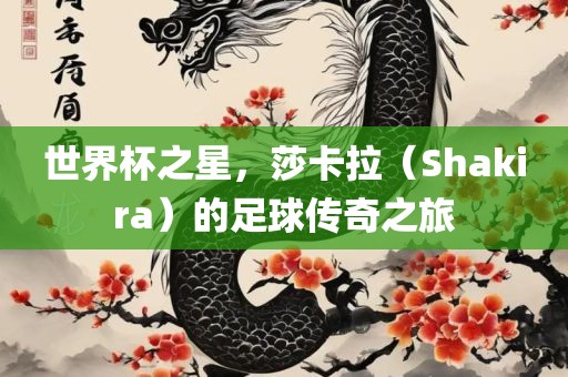 世界杯之星，莎卡拉（Shakira）的足球传奇之旅