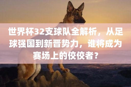 世界杯32支球队全解析，从足球强国到新晋势力，谁将成为赛场上的佼佼者？