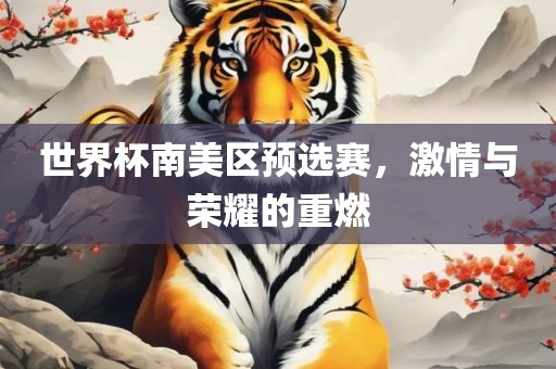 世界杯南美区预选赛，激情与荣耀的重燃