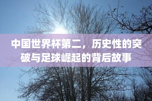 中国世界杯第二，历史性的突破与足球崛起的背后故事