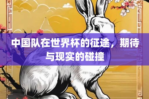 中国队在世界杯的征途，期待与现实的碰撞