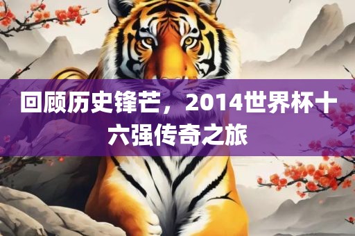 回顾历史锋芒，2014世界杯十六强传奇之旅