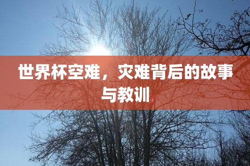 世界杯空难，灾难背后的故事与教训