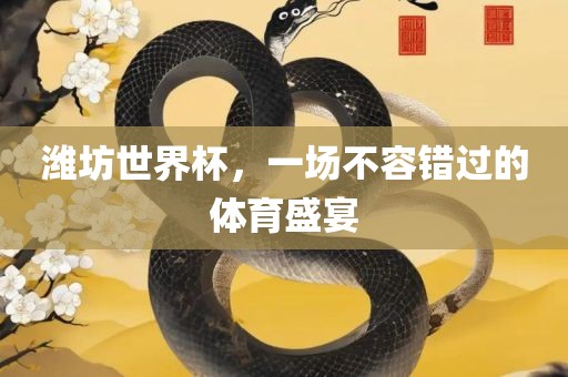 潍坊世界杯，一场不容错过的体育盛宴