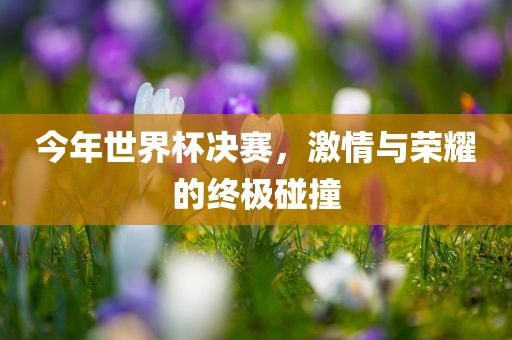 今年世界杯决赛，激情与荣耀的终极碰撞漯河市盈旭机械设备有限公司