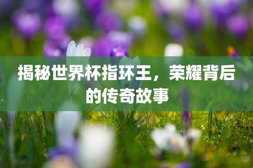 揭秘世界杯指环王，荣耀背后的传奇故事