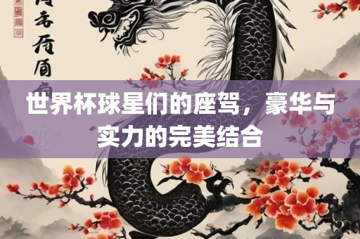 世界杯球星们的座驾，豪华与实力的完美结合
