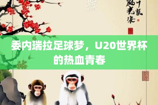 委内瑞拉足球梦，U20世界杯的热血青春
