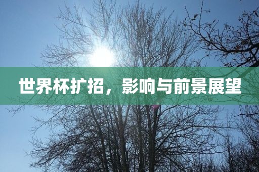 世界杯扩招，漯河市盈旭机械设备有限公司影响与前景展望