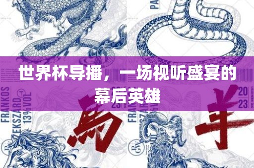 世界杯导播，一场视听盛宴的幕后英雄