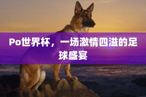 Po世界杯，一场激情四溢的足球盛宴漯河市盈旭机械设备有限公司