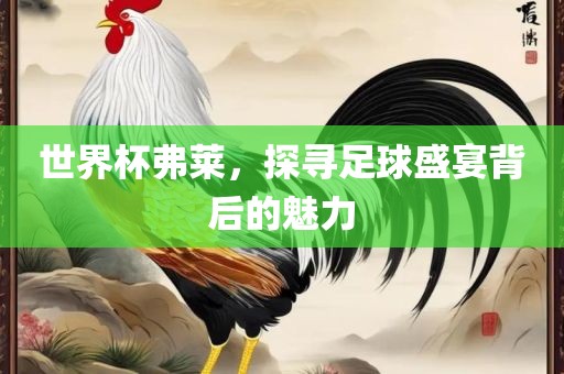 世界杯弗莱，探寻足球盛宴背后的魅力