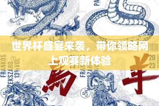 世界杯盛宴来袭，带你领略网上观赛新体验漯河市盈旭机械设备有限公司