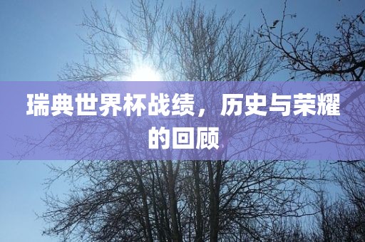 瑞典世界杯战绩，历史与荣耀的回顾