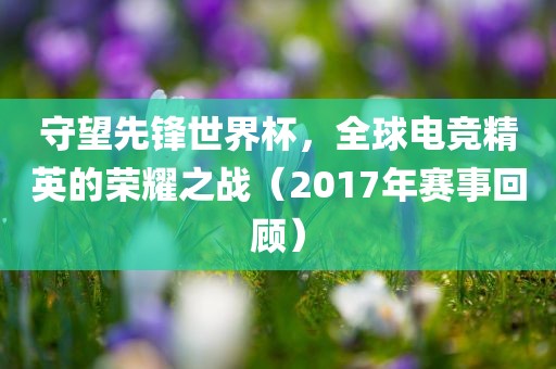 守望先锋世界杯，全球电竞精英的荣耀之战（2017年赛事回顾）