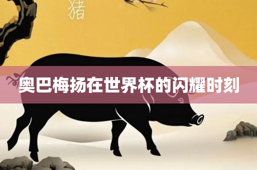 奥巴梅扬在世界杯的闪耀时刻漯河市盈旭机械设备有限公司