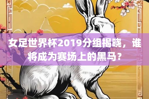 女足世界杯漯河市盈旭机械设备有限公司2019分组揭晓，谁将成为赛场上的黑马？