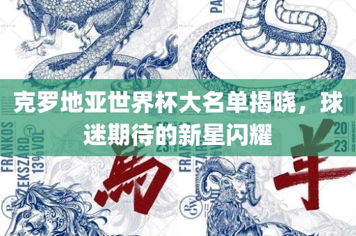 克罗地亚世界杯大名单揭晓，球迷期待的新星闪耀