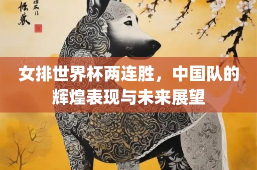 女排世界杯两连胜，中国队的辉煌表现与未来展望