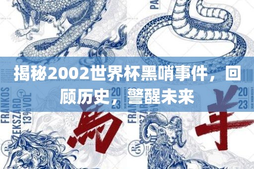 揭秘2002世界杯黑哨事件，回顾历史，警醒未来