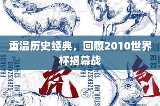 重温历史经典，回顾2010世界杯揭幕战