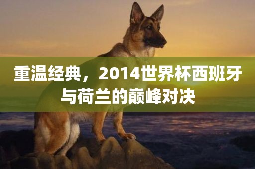 重温经典，2014世界杯西班牙与荷兰的巅峰对决