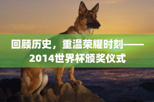 回顾历史，重温荣耀时刻——2014世界杯颁奖仪式