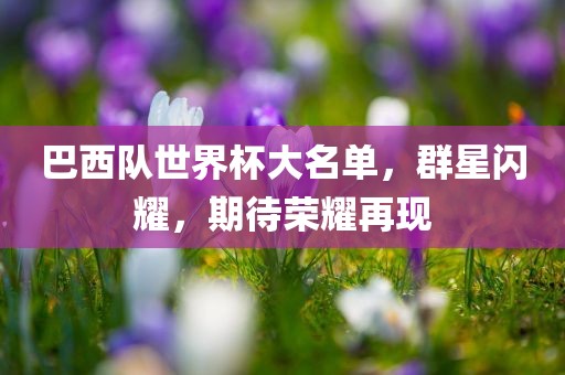 巴西队世界杯大名单，群星闪耀，期待荣耀再现