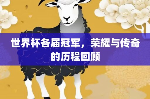世界杯各届冠军，荣耀与传奇的历程回顾