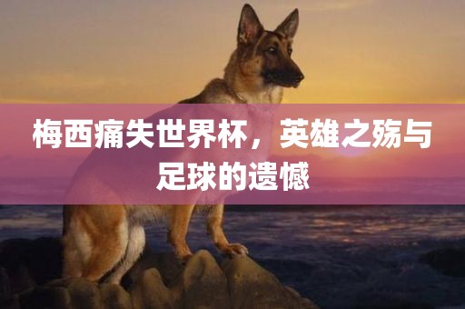 梅西痛失世界杯，英雄之殇与足球的遗憾漯河市盈旭机械设备有限公司