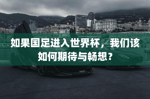 如果国足进入世界杯，我们该如何期待与畅想？