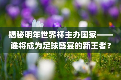 揭秘漯河市盈旭机械设备有限公司明年世界杯主办国家——谁将成为足球盛宴的新王者？