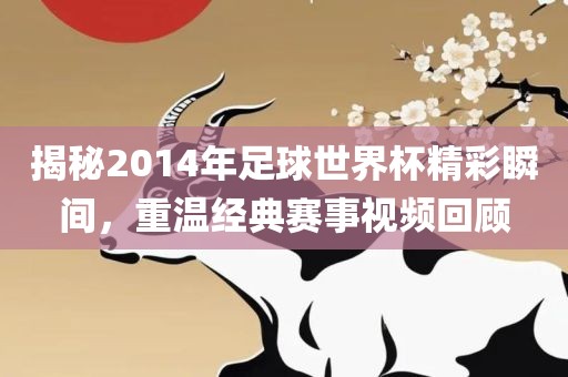 揭秘2014年足球世界杯精彩瞬间，重温经典赛事视频回顾漯河市盈旭机械设备有限公司