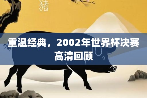重温经典，2002年世界杯决赛高清回顾漯河市盈旭机械设备有限公司