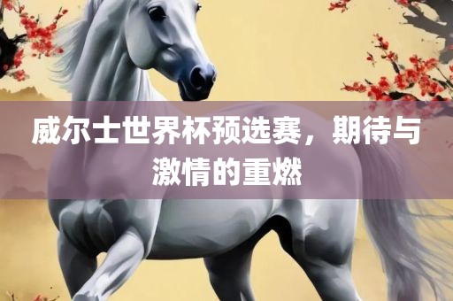威尔士世界杯预选赛，期待与激情的重燃